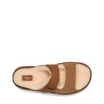 3e571f817844d0085b5e5574a237da40 foto