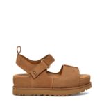 58002490873993a68b17e2fe62825637 foto