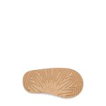 aeda3305554952361440ff7be6f5f5ed foto